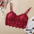 Imported Girls Fashionable Net Floral Crop Tops