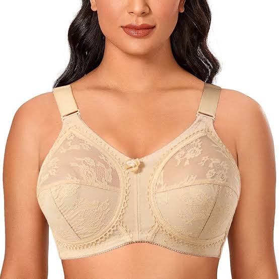 Upto 60% OFF | Pack of 2 Imported Triumph Doreen Bra