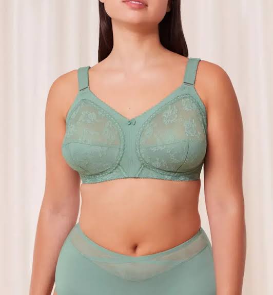 Upto 60% OFF | Pack of 2 Imported Triumph Doreen Bra