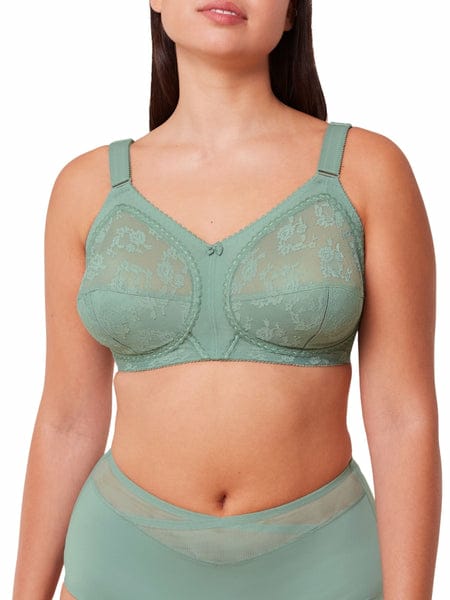 Upto 60% OFF | Pack of 2 Imported Triumph Doreen Bra